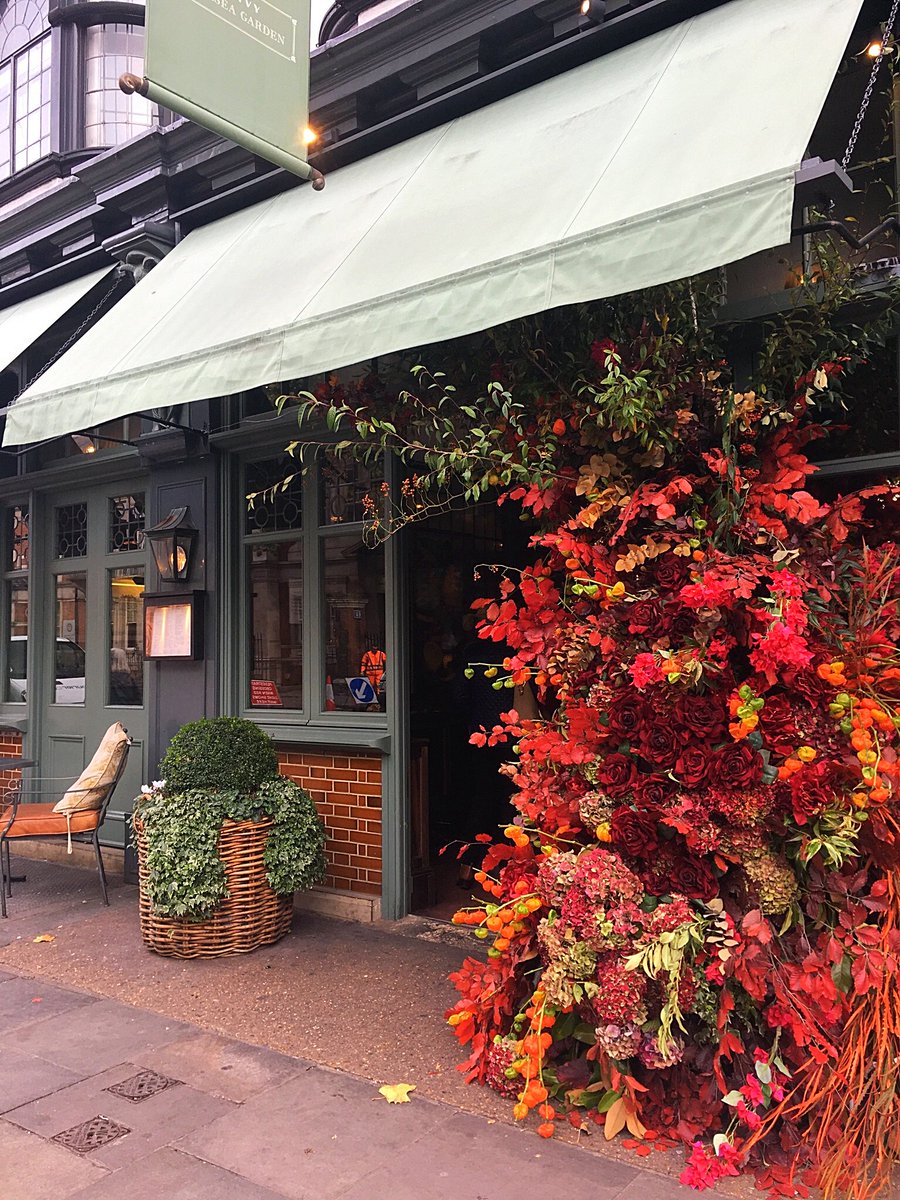 Kristen Covo (@kcovophoto) on Twitter photo Love <a href="/ivychelsgarden/">Ivy Chelsea Garden</a> autumnal floral display. Adds a pop of warm colour to #kingsroad #lovelondon Love <a href="/ivychelsgarden/">Ivy Chelsea Garden</a> autumnal floral display. Adds a pop of warm colour to #kingsroad #lovelondon