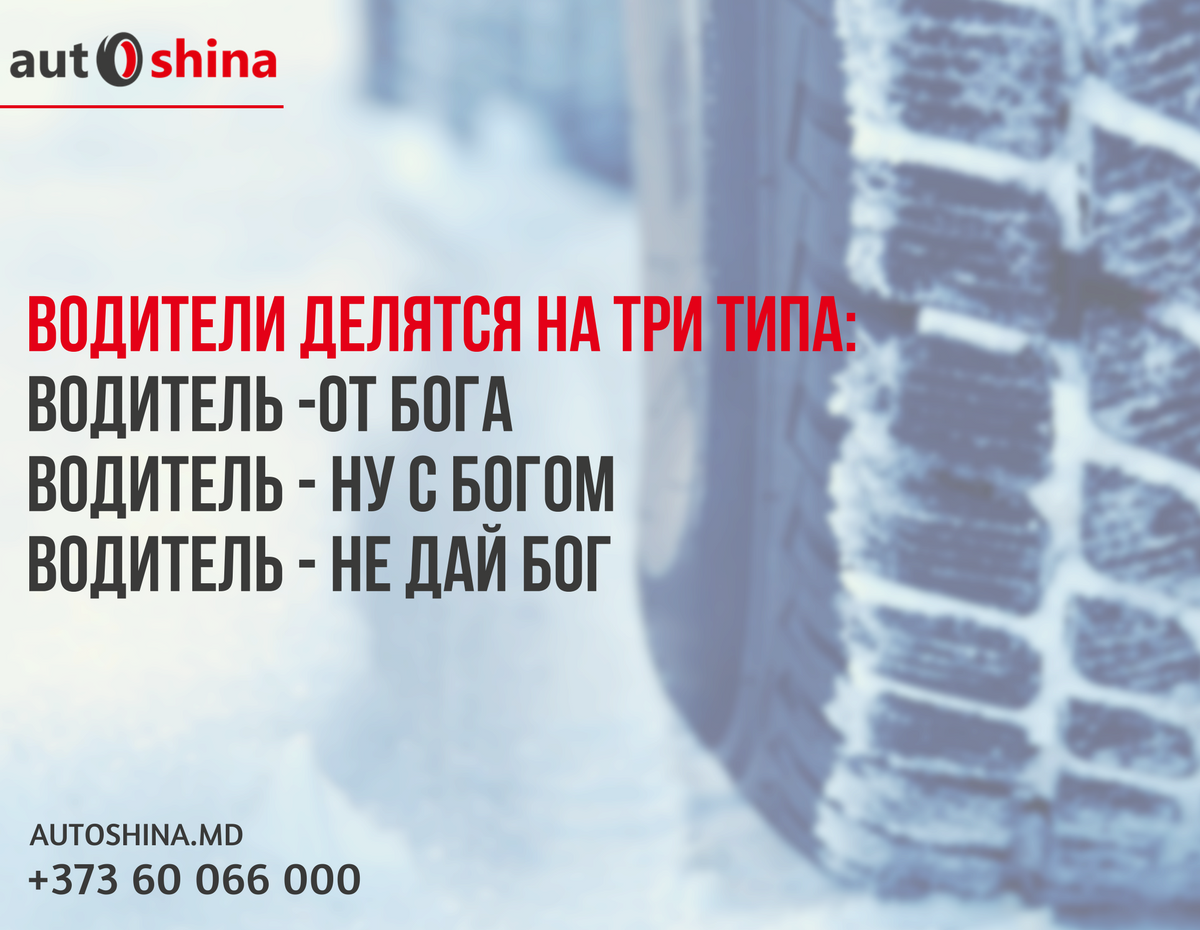 AutoShina's tweet image. 