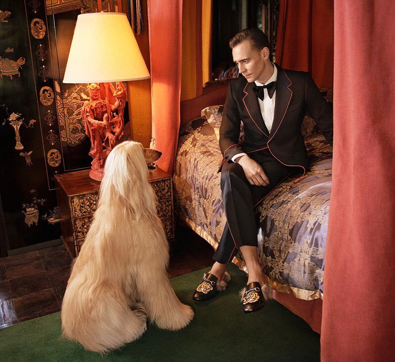 _insoo's tweet image. 수트핏의 대명사 히들이가 구찌를 만났을 때의 존엄함을 보시죠 그냥 인간 구찌이다