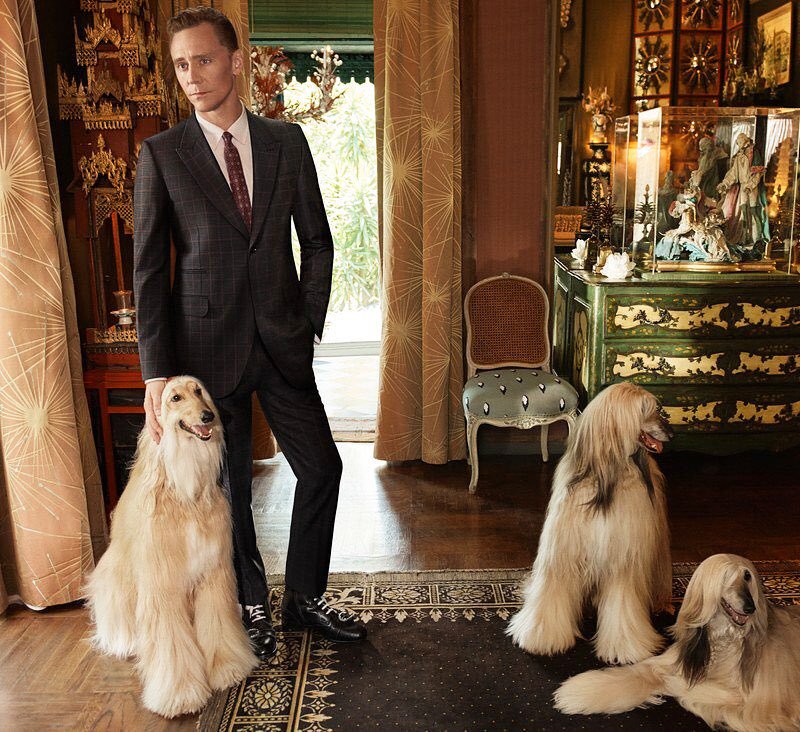 _insoo's tweet image. 수트핏의 대명사 히들이가 구찌를 만났을 때의 존엄함을 보시죠 그냥 인간 구찌이다