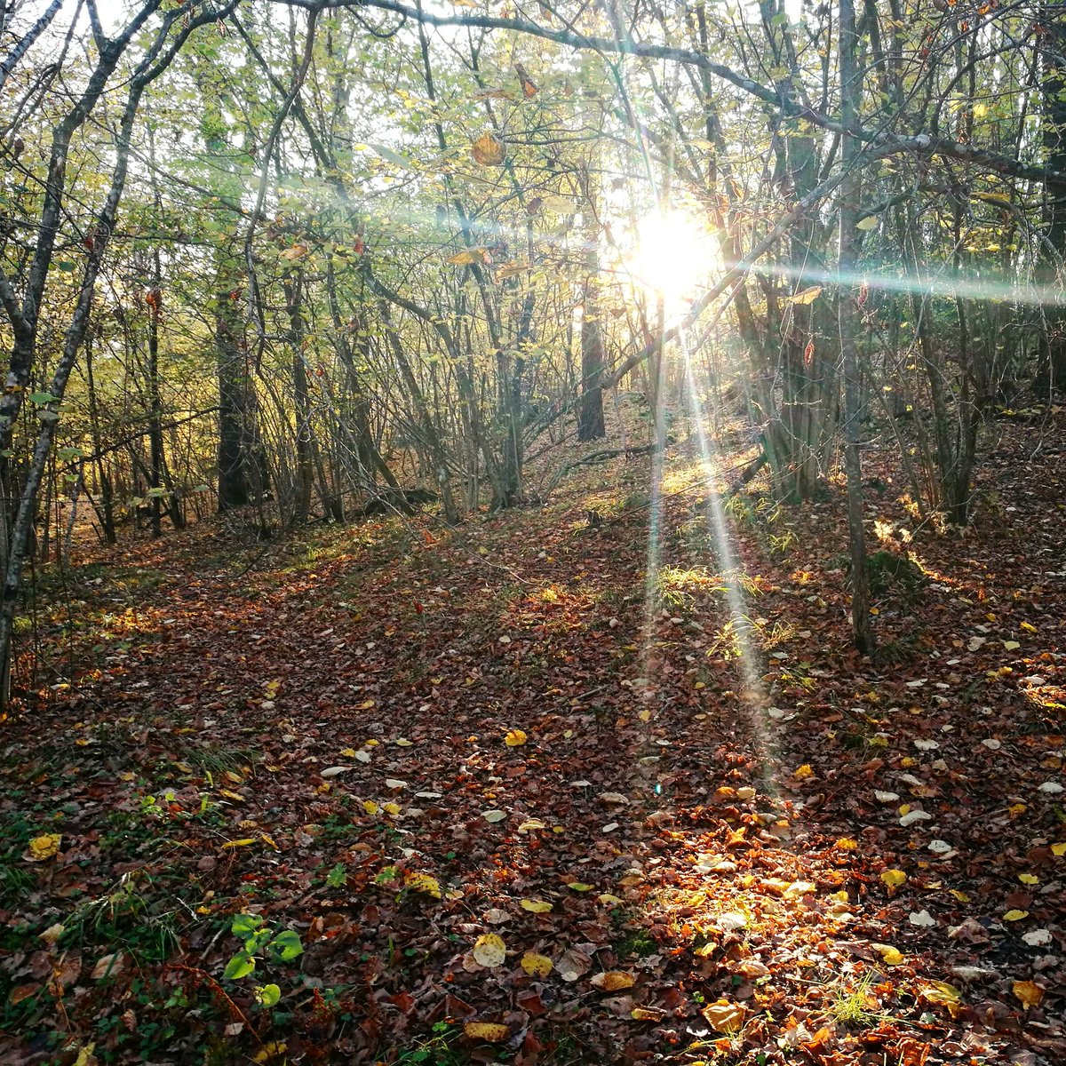 Oktober: 279 km #löpning, 279 kr till <a href="/Cancerfonden/">Cancerfonden</a> cancerfonden.se/insamlingar/1-…