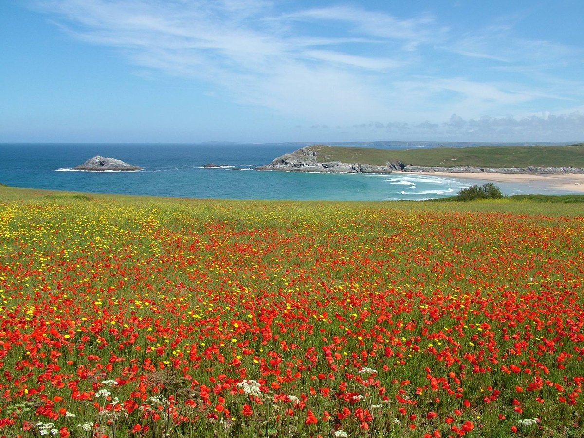 CrantockBay_'s tweet photo. We love how our unique view changes with the #Cornish weather - from sunshine and storms, to sea mist and rainbows, every day is different! https://t.co/3KJFzDGnNZ