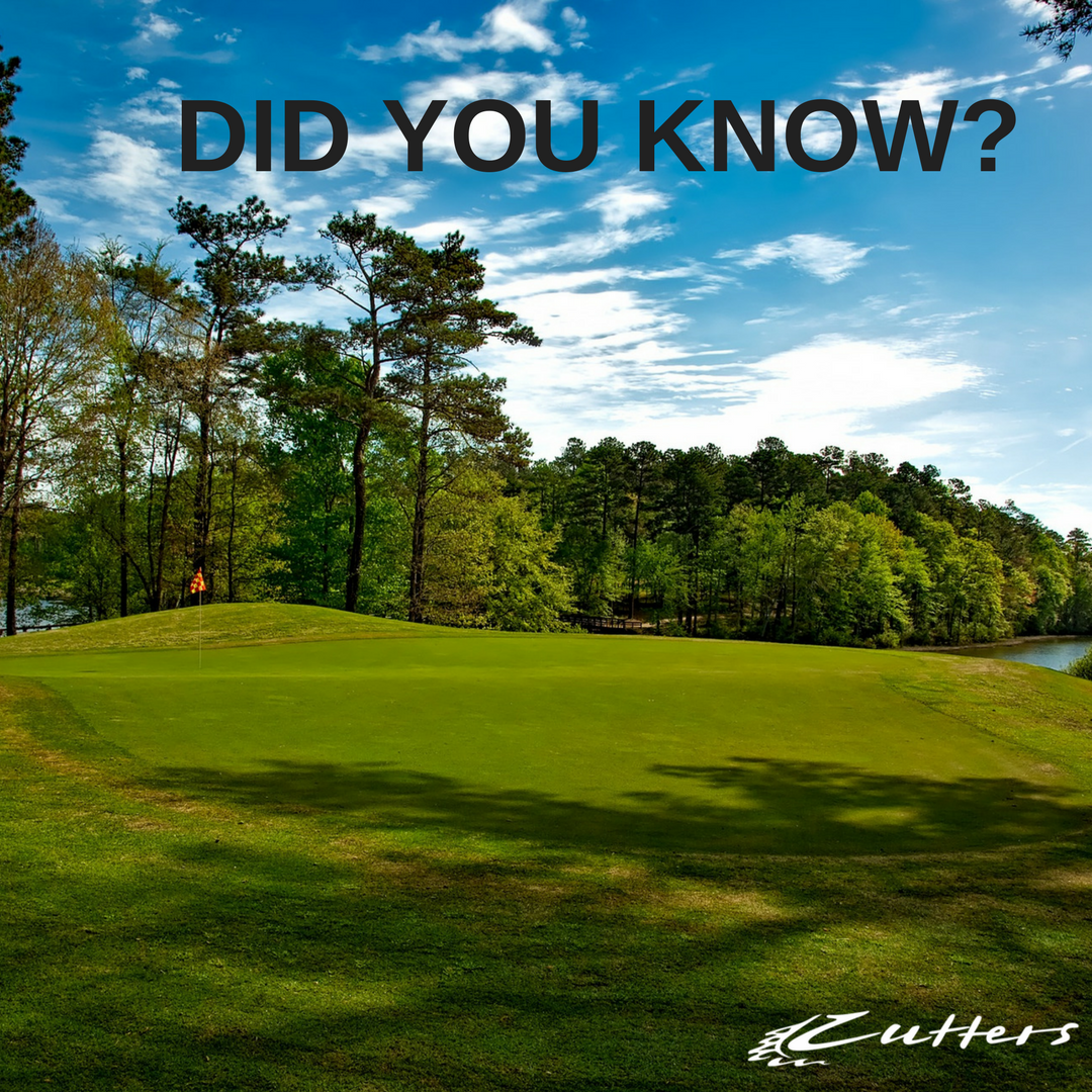 CuttersSA's tweet photo. Your typical lawn has about six grass plants per square inch which means the average lawn could have millions of grass plants. #grassfact https://t.co/Dy8oAN4ElE