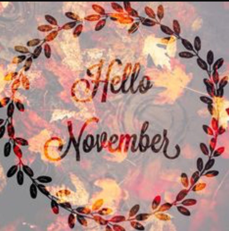 Today marks the start of my second month running Prickly Pear. I would like to thank all of the customers for the support over so far!💗