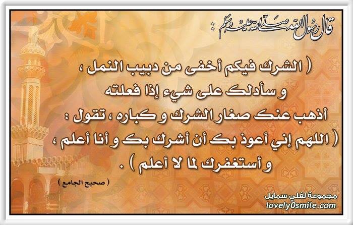 منبر سبيع العلمي (@mr_khial) on Twitter photo 