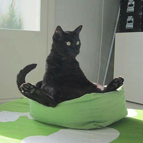 Quando você descobre que o feriado ainda é amanhã! #chegandoferiadoeeu