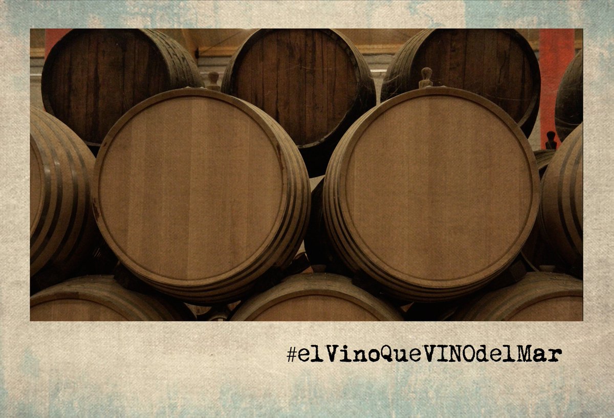 vinos_malaga's tweet photo. #Málaga, Origen del #Moscatel más puro del mundo. Tierra de #elVinoQueVINOdelMar #Vino #vinos @SaboraMalaga @diputacionMLG @MuseoVinoMalaga https://t.co/n1EsihpGEW