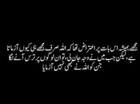 sadaf2685's tweet photo. https://t.co/NoYCjOHp1o