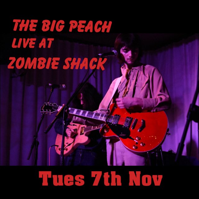 The Big Peach (@bigpeachband) on Twitter photo 