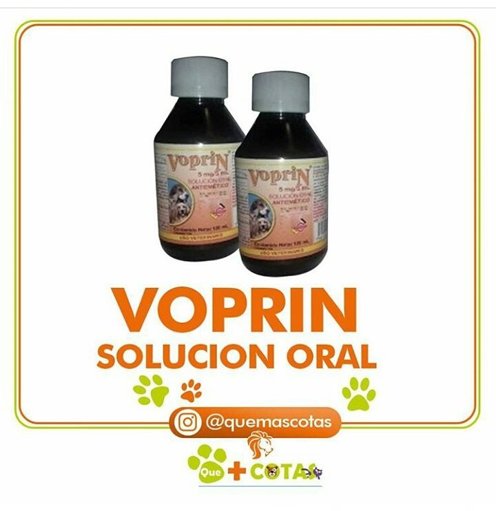 QueMascotas's tweet photo. Disponible en nuestra tienda @QueMascotas visitanos tenemos los mejores productos para ti 😀 https://t.co/0N7HQCMiUb