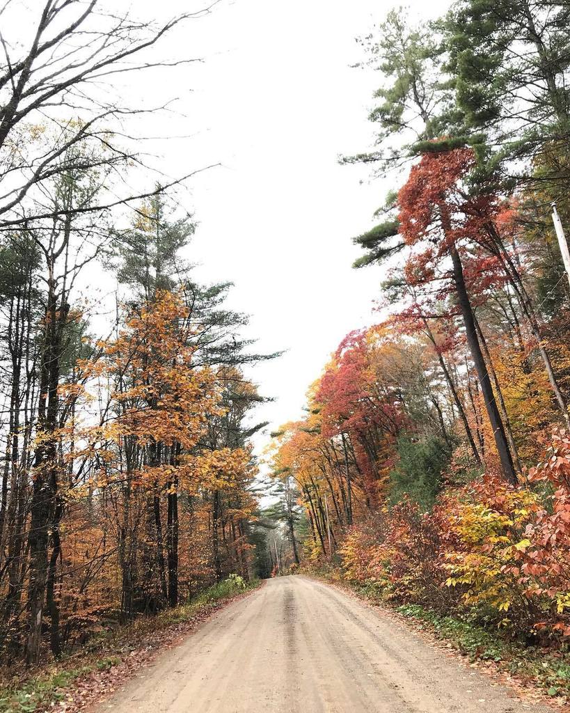I can’t lie, I’m pretty impatiently waiting for snow. But these fall colors aren’t too shabby! ift.tt/2ineb1h