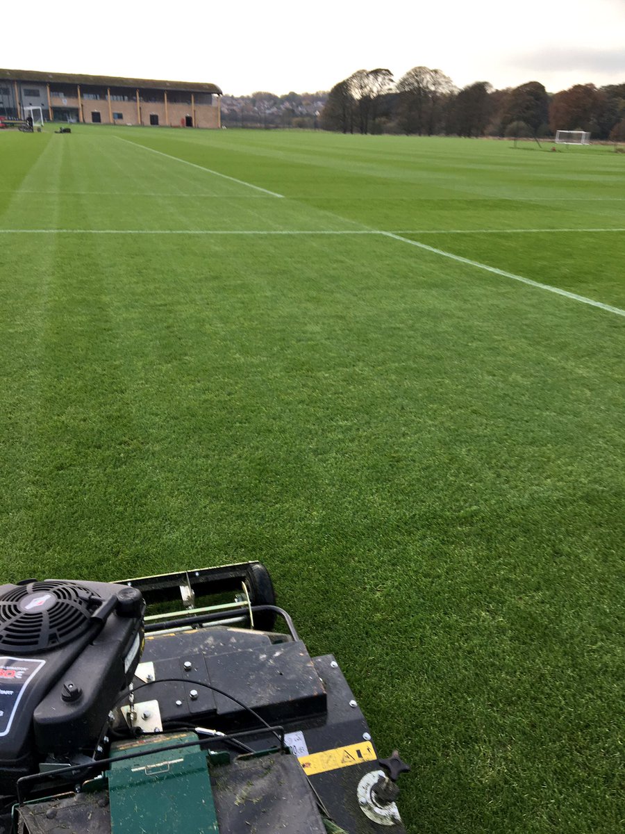 Clean up day with the Allets 👍🏻