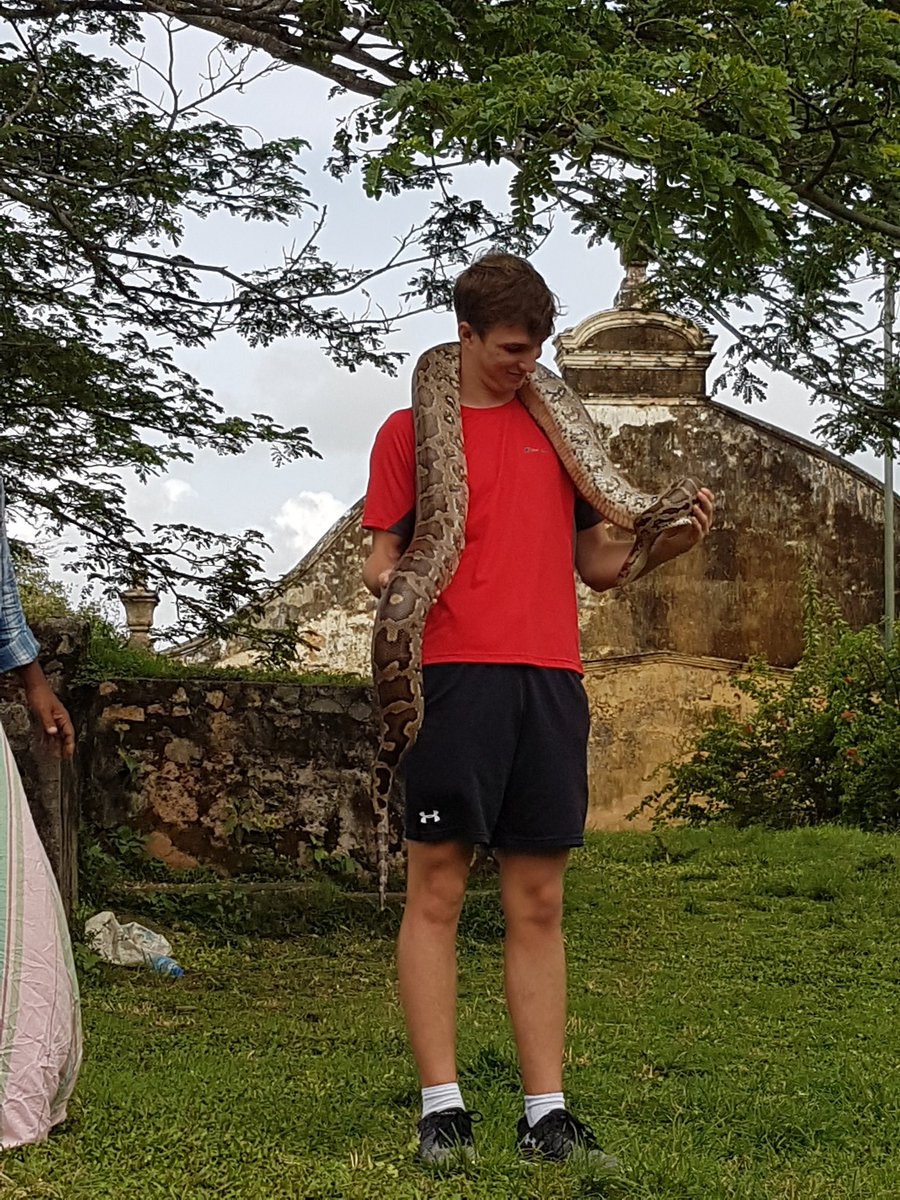 MTBSCricket's tweet photo. Day 8 and a trip to Galle Fort. Isaac Lea braves the snakeman! #riskassessment? #nofear #wellhard #parseltongue https://t.co/jtWMip3TKi