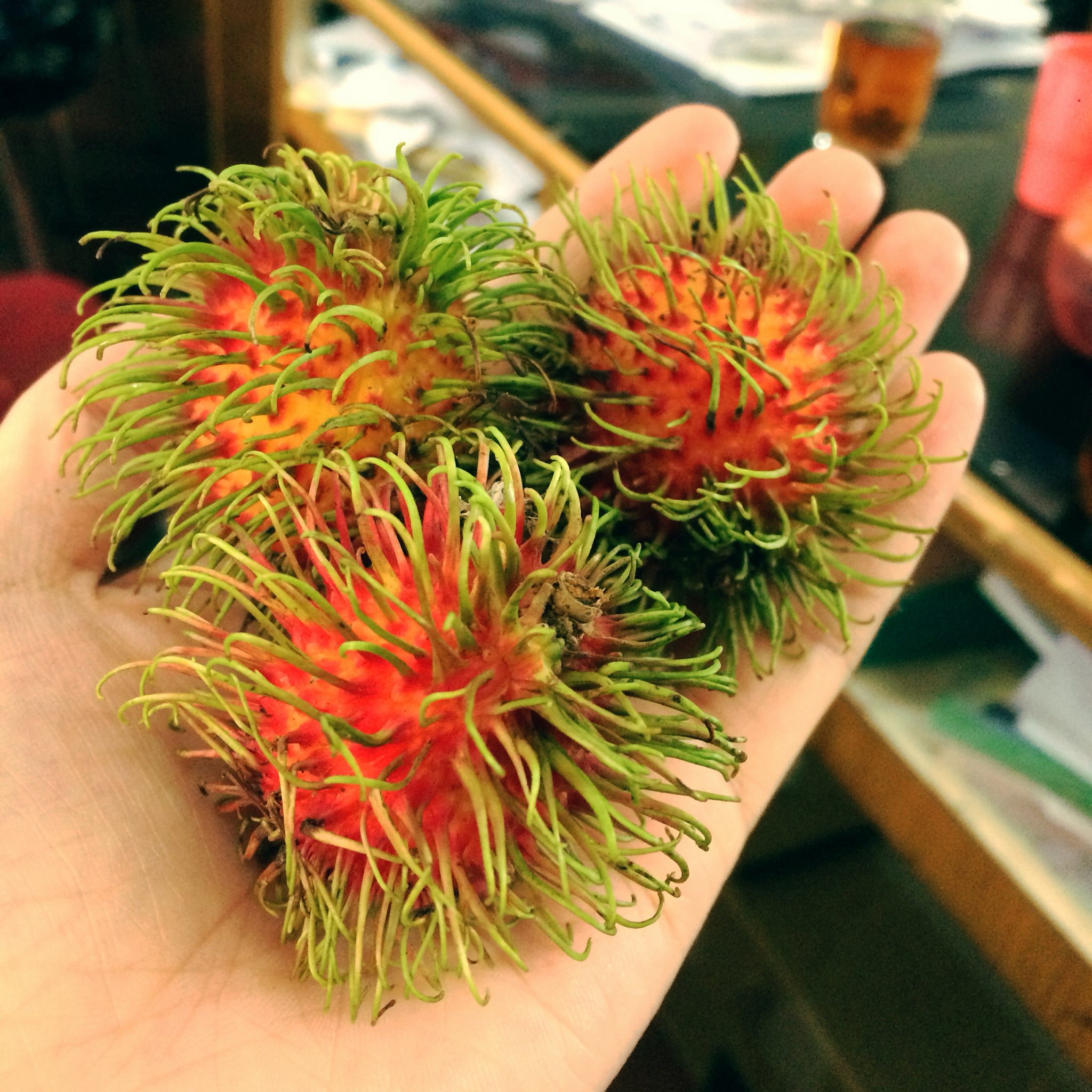 Mizuki インドネシアで初めて出会った食べ物は多いです そのうちの1つである ランブータン 見た目から勧められないと食べたかったかもしれません コスの方や先生方からたまにいただきます 味はライチのようで 皮をツルッと剥いて食べます 美味しい