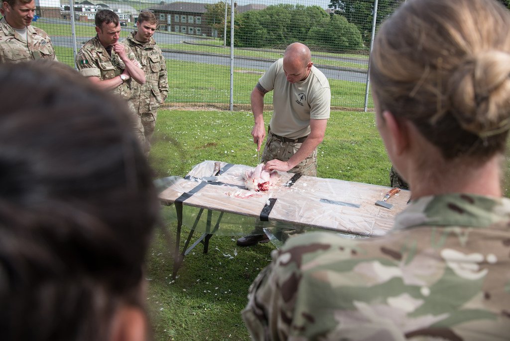 EES_SFP's tweet photo. #survivalfitnessplan #escapevasionandsurvival https://t.co/Nqyo8Fuayb
