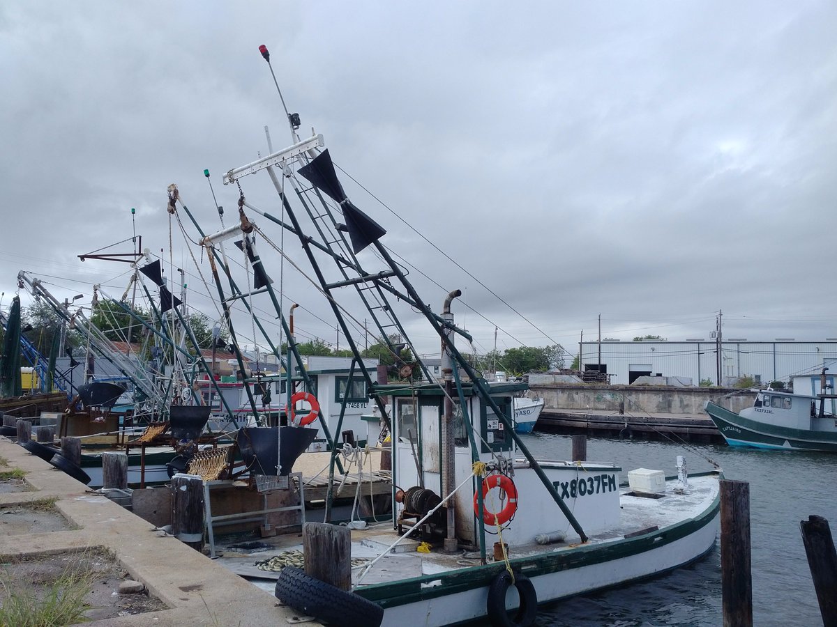 TXSeaGrant's tweet photo. 110 fishermen met in Port Lavaca last weekend with @TPWDnews and @TexasDSHS in #CalhounCounty to prep for oyster season, which starts today! https://t.co/zVFvXMo96B