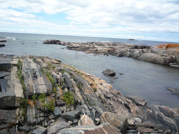 MicroEarthSci's tweet photo. Here's a gneiss shear zone, weathered by an ice sheet: most sheared = most weathered. Ontario #WeatheringWednesday #TeamGneiss #RockCup https://t.co/g3RHkb4uq4
