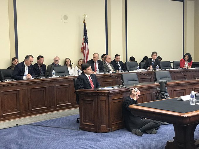 View image on Twitter