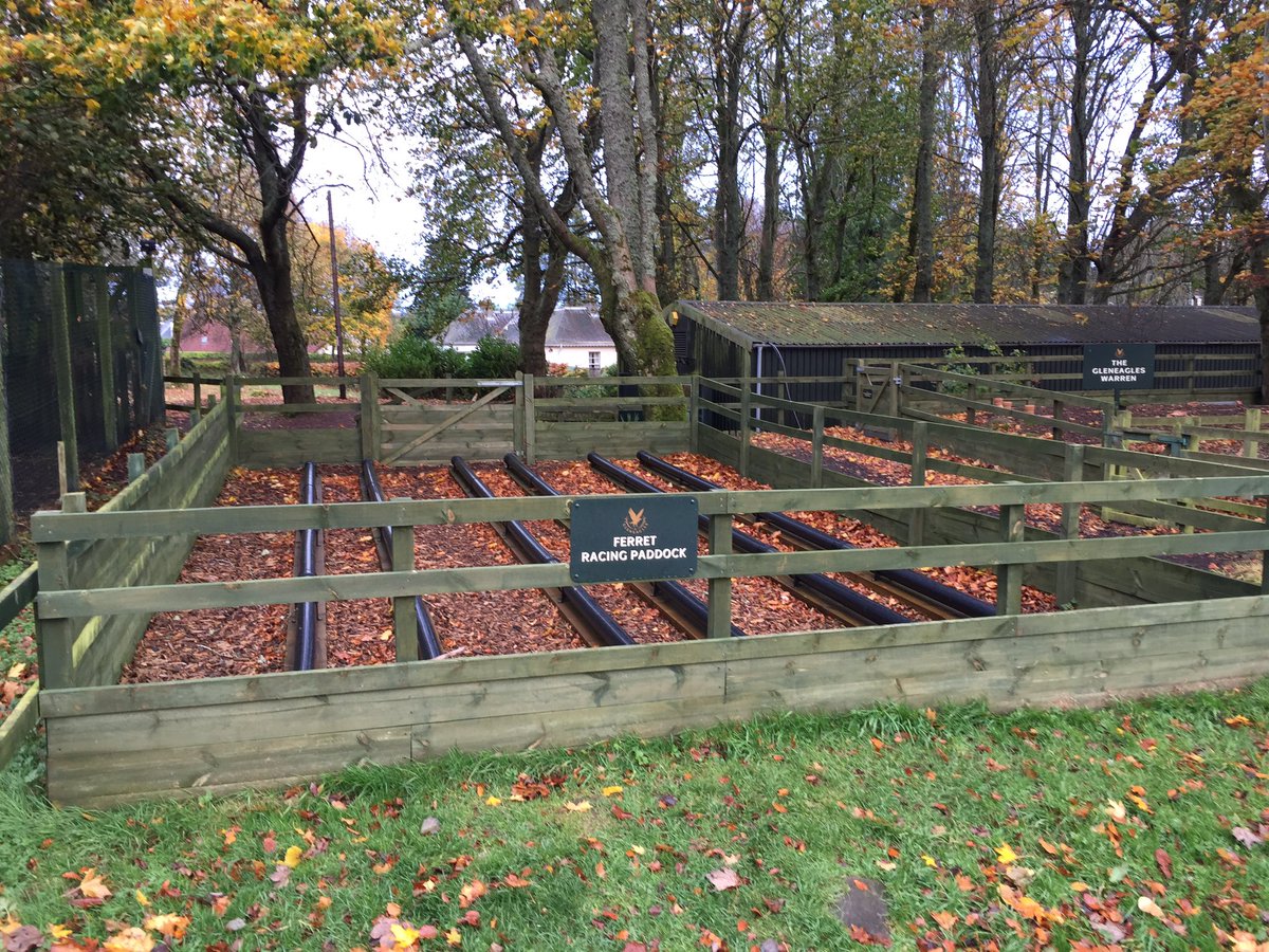 rjbailey141's tweet photo. Is there time for a late addition to the garden @vharfin ?? https://t.co/LkxqMKIHpL