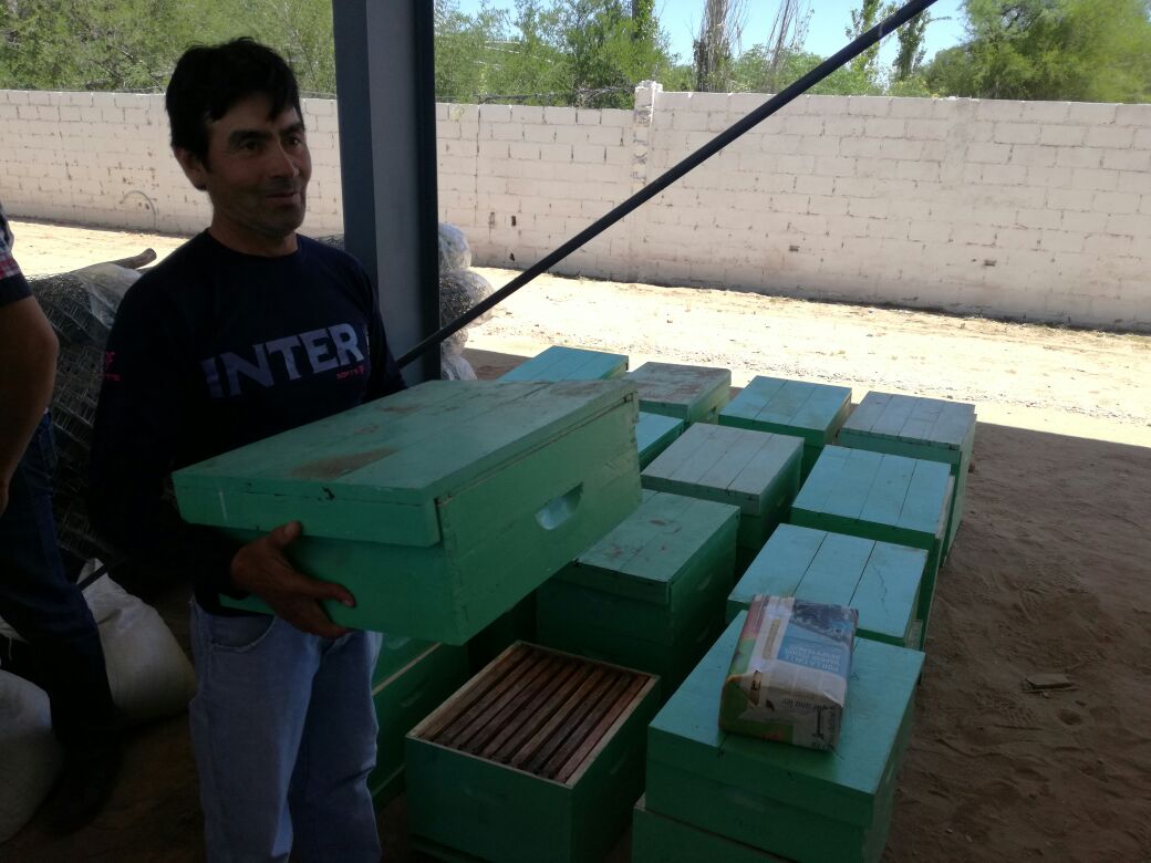AmbienteSanLuis's tweet photo. PLAN DE FOMENTO PRODUCTIVO EN #CANDELARIA
Cerdos, cabritos, kits hortícolas, apícolas y ponedoras, son algunos de los beneficios que reciben, gratuitamente, los pequeños #productores. #SanLuis #Campo #Producción https://t.co/36RQzqRtxU
