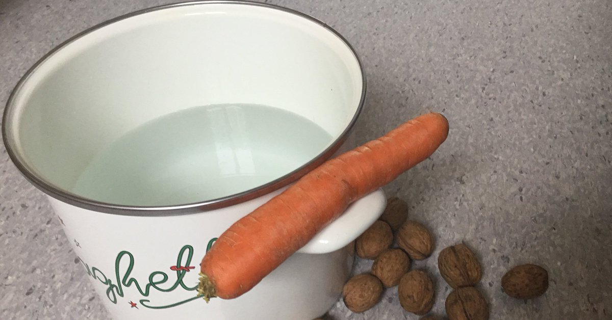 WorldDay's tweet photo. Schneemänner sind vegan - Snowmen are vegan.  100% ⛄️💚🥕 and #weltvegantag #worldveganday Have a nice day @weltvegantag @worldveganday https://t.co/2LhcweOKOa