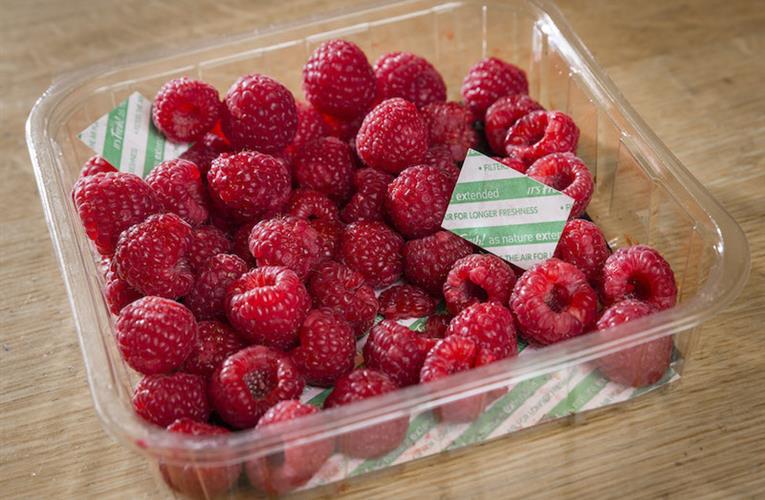 Young people are the worst at #foodwaste 
It's Fresh! filters presence increasing in packs of #fruits #supermarkets <a href="/Morrisons/">Morrisons</a> 
#produce