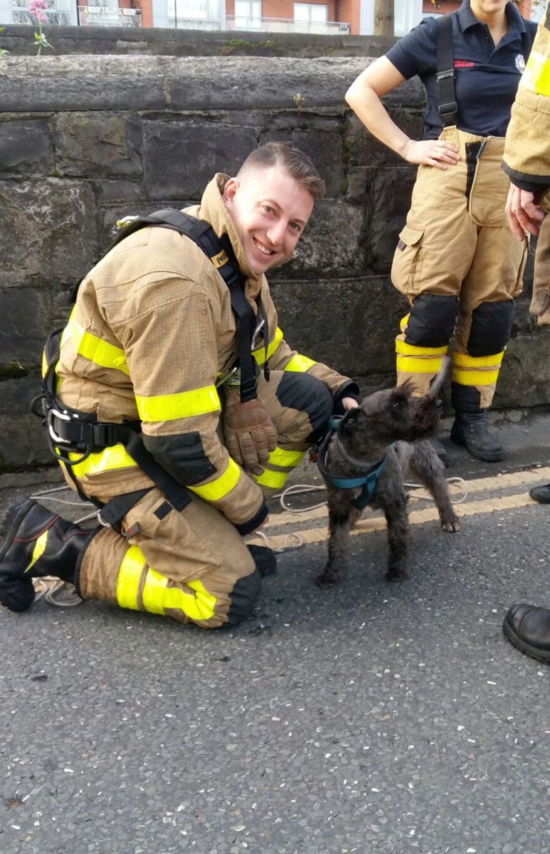 DubFireBrigade's tweet image. Phibsboro’s D Watch with @DublinSPCA have rescued a dog from @IrishRail lines on Whitworth Rd, using the Hi-Ab crane on our Rescue Tender