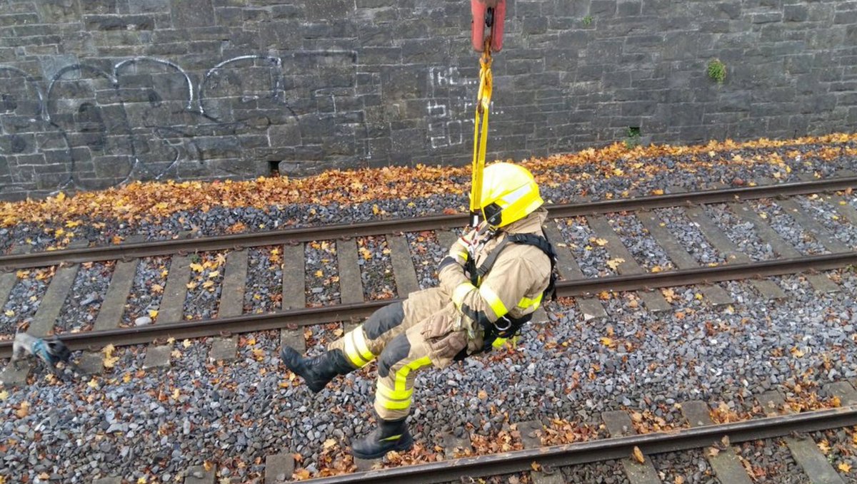 DubFireBrigade's tweet image. Phibsboro’s D Watch with @DublinSPCA have rescued a dog from @IrishRail lines on Whitworth Rd, using the Hi-Ab crane on our Rescue Tender