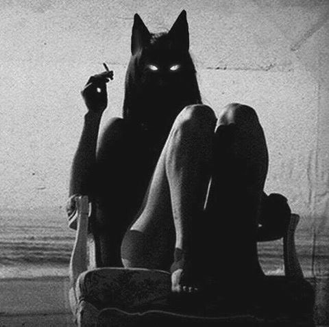 I am meaner than My demons. #WednesdayWisdom @RTSlutt @footslaveealex @RT4FD @slaveCuck_ @rtdumb @King_Maximuss<a href="/tag/wednesdaywisdom"class="tags">#WednesdayWisdom</a><a class="tags" target="_blank" title="On Twitter" href="/?out=eyJ0eXAiOiJKV1QiLCJhbGciOiJIUzUxMiJ9.eyJpYXQiOjE3MjMzMDk2OTksImlzcyI6InR3cG9ybnN0YXJzLmNvbSIsIm5iZiI6MTcyMzMwOTY5OSwiZXhwIjoxNzU0ODQ1Njk5LCJyZWRpcmVjdF91cmwiOiJodHRwczovL3R3aXR0ZXIuY29tL1JUU2x1dHQifQ.dvKLmR84f4OaHzyOQsIntfkeLIyXLCPwtFRi8BByNOpKrFauLKf0NCqa1BMGlco25v32Swo1JuTI2GUg_6hASw">@RTSlutt</a>