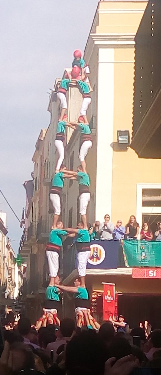 Momento__0's tweet photo. Verds ben amunt culminant la tasca del grup.  Exemple a seguir! Som-hi PLA! Som-hi verds! https://t.co/Aa6nwXae48