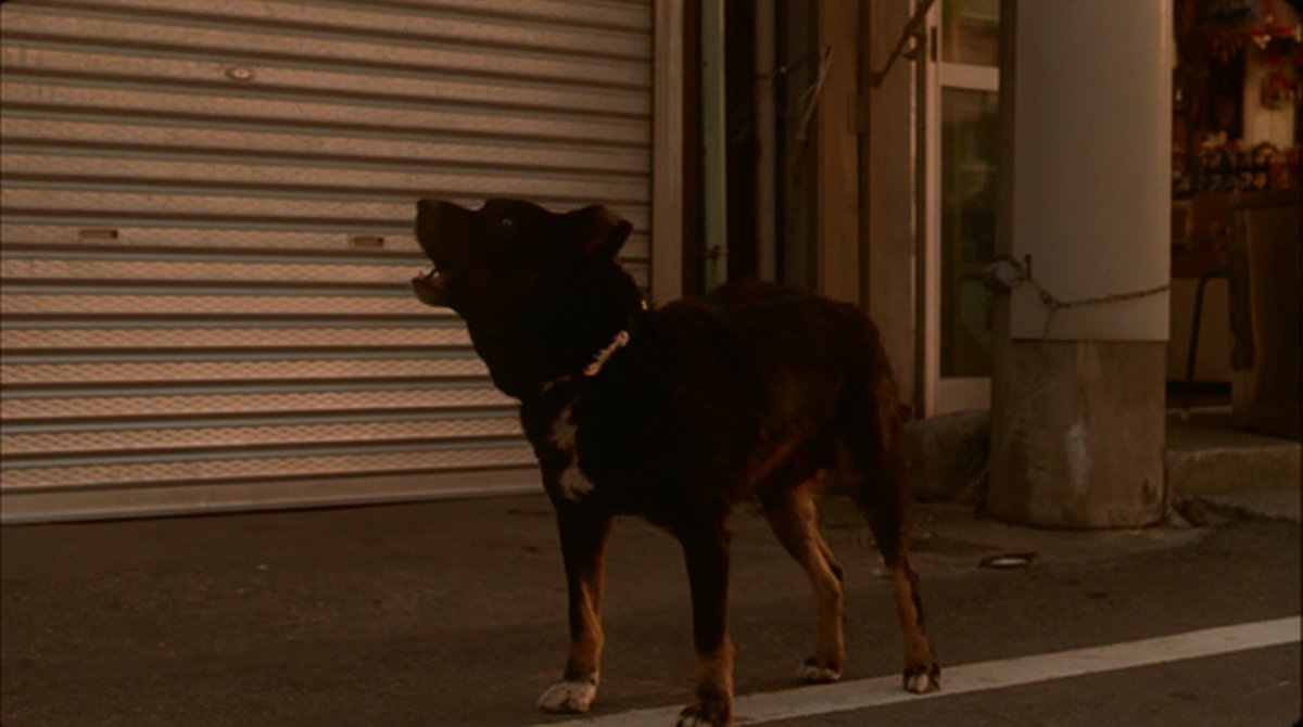 角川 大映 特撮公式 今日は 犬の日 ということで G1でこの直後 かわいそうなことになってしまうワンちゃんと G3で同じくかわいそうなことになるハチ公像 平成ガメラでは 犬はロクな目に遭わないようです 犬の日