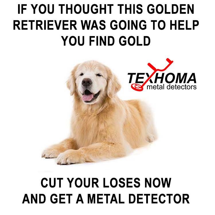 wftx1234's tweet photo. Call David at 940-500-1996

#betterlatethannever #metaldetectors #meme https://t.co/ftwEjh0spZ