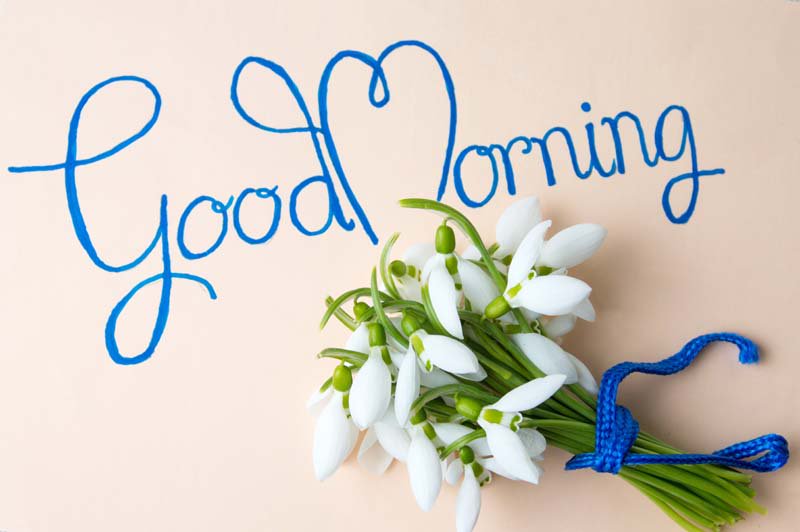 ZimairDisplays's tweet image. Start your day with a good morning!
#PopDisplaySystems
zimair.com