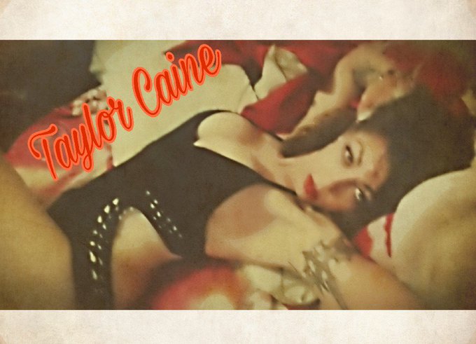 Taylor Harlow’s pics and videos