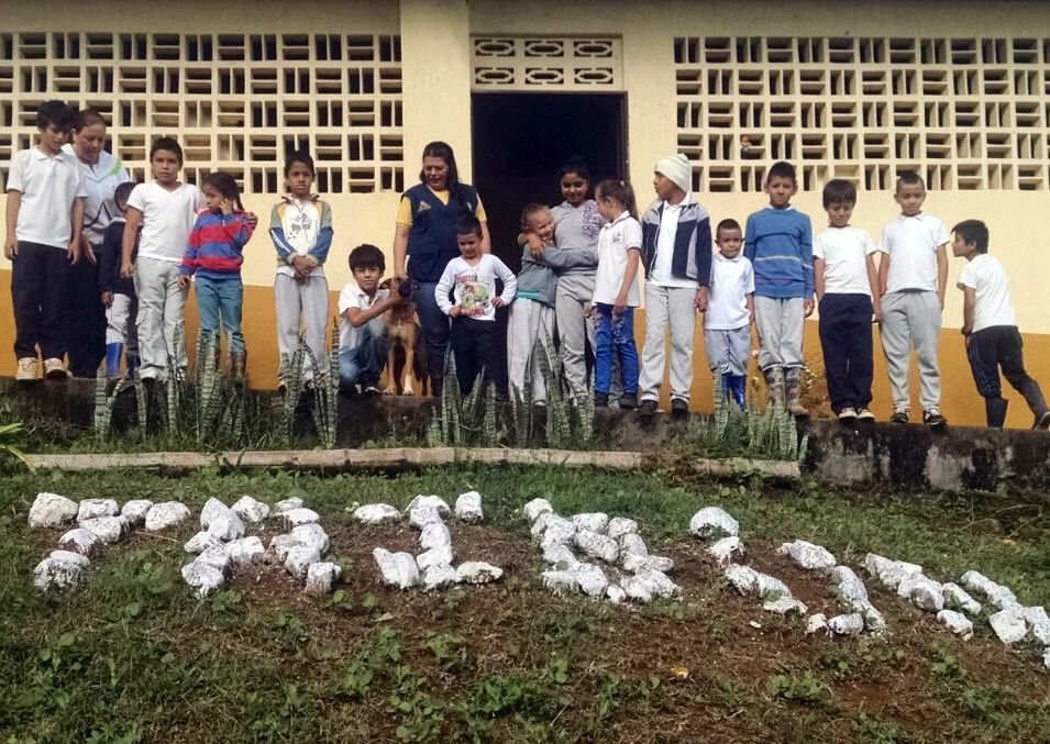 FNC_Valle's tweet photo. #FelizMiércoles Con visitas periódicas y diálogo con docentes de instituciones rurales, #Fecoop promueve liderazgo y arraigo por el campo. https://t.co/tq5oD7d1ZG