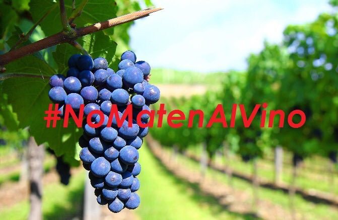 #NoMatenAlVino <a href="/NicoDujovne/">Nicolas Dujovne</a>