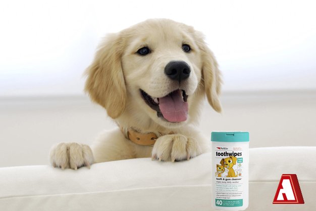 farmarrocha's tweet photo. Mantener limpios los dientes de tu mascota  ahora es tarea fácil gracias a los #ToothWipes de Petkin. 
#Arrocha #AlgoNuevoParaTiSiempre https://t.co/LWJutZfv2c