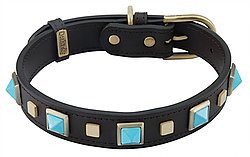 thePawfection's tweet photo. Flash Sale of luxury dog collars &amp; leads for limited period https://t.co/vAUPpxzA4P Great discounts so shop now #ldogs #dogaccessories #sale https://t.co/XiIT2NFehE