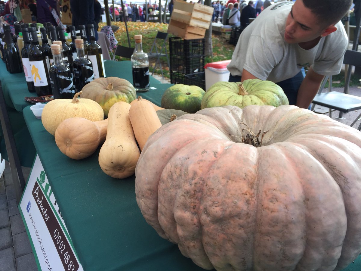 CAT Patrimoni tweet media