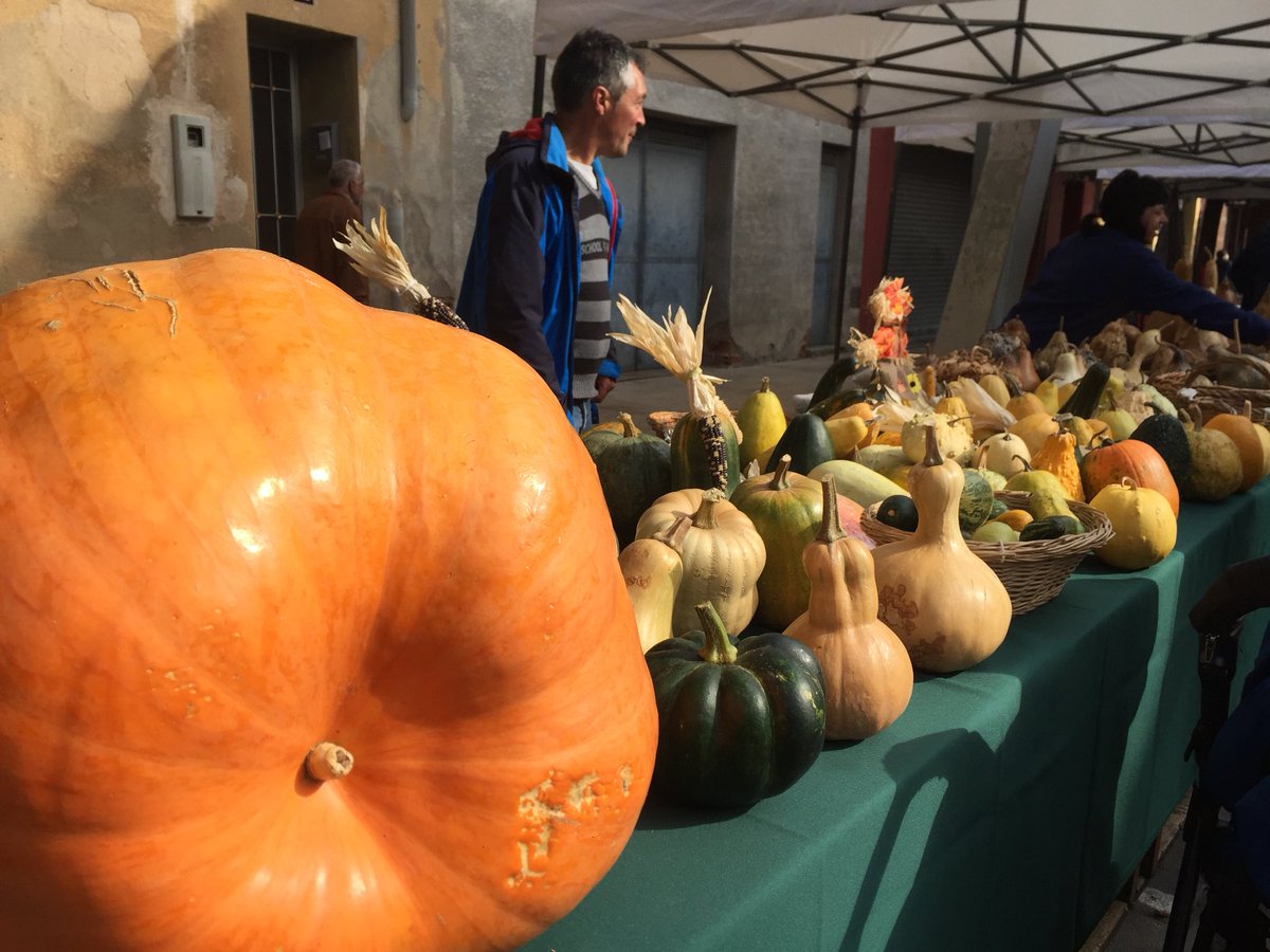 CAT Patrimoni tweet media