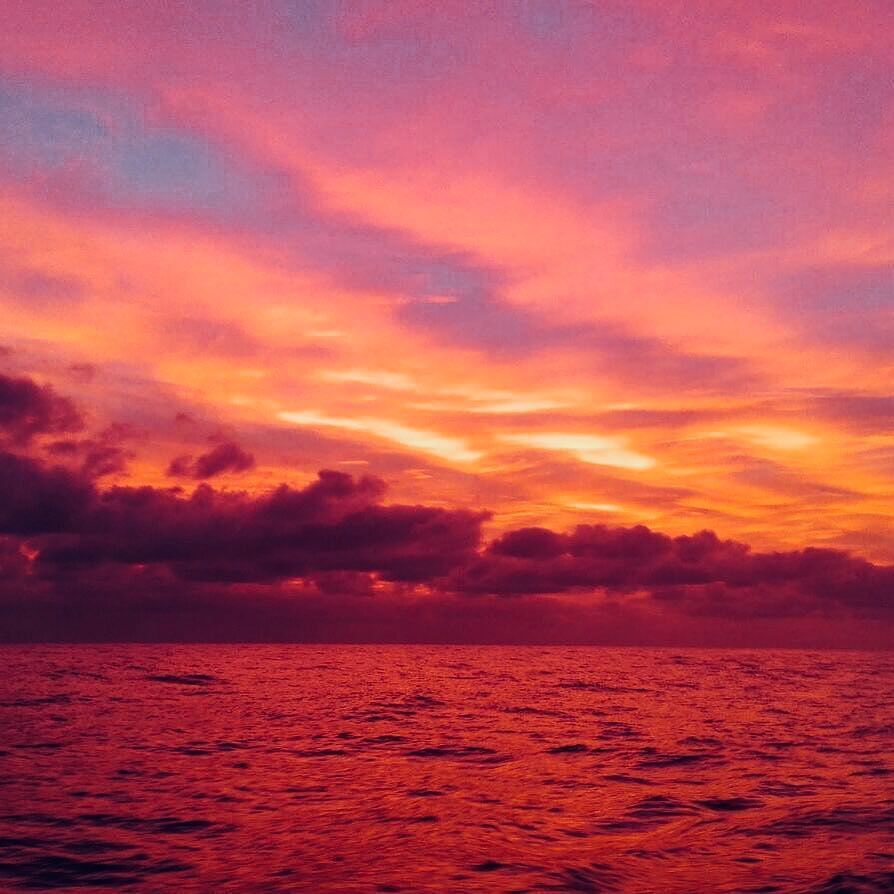 NorWesterSails's tweet photo. Sunset in front Portofino https://t.co/zie2TmD8vi https://t.co/0UXvsWO95C