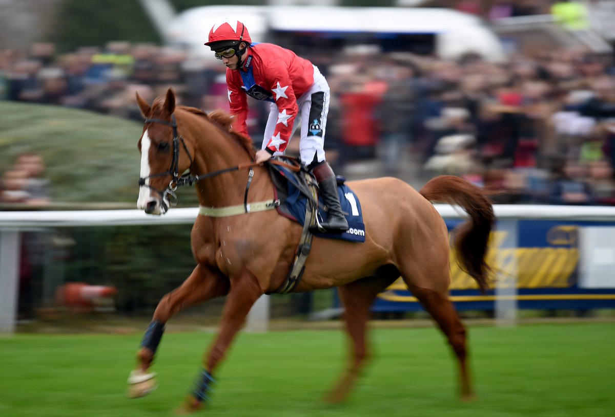 HorseRacing_Net's tweet photo. Ar Mad, Politologue, Sire De Grugy and Garde La Victoire among the 13 entries for the Haldon Gold Cup @ExeterRaces on Tuesday. https://t.co/16K0cKNnQl