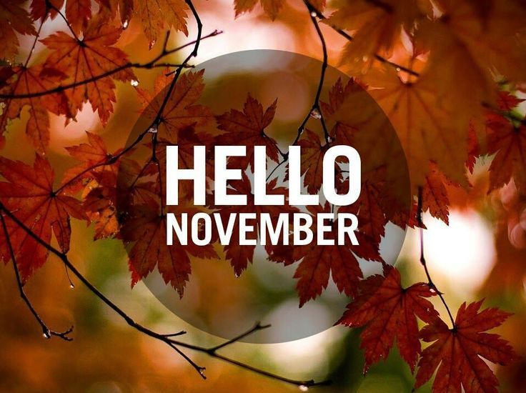 projectIMPACTms's tweet photo. Nov 10 Veterans Day
Nov 13-17 American Education Week
Nov 23 Thanksgiving
Nov 24 Black Friday
Nov 27 Cyber Monday
Nov 28 #GivingTuesday https://t.co/tkNiDTZRHy