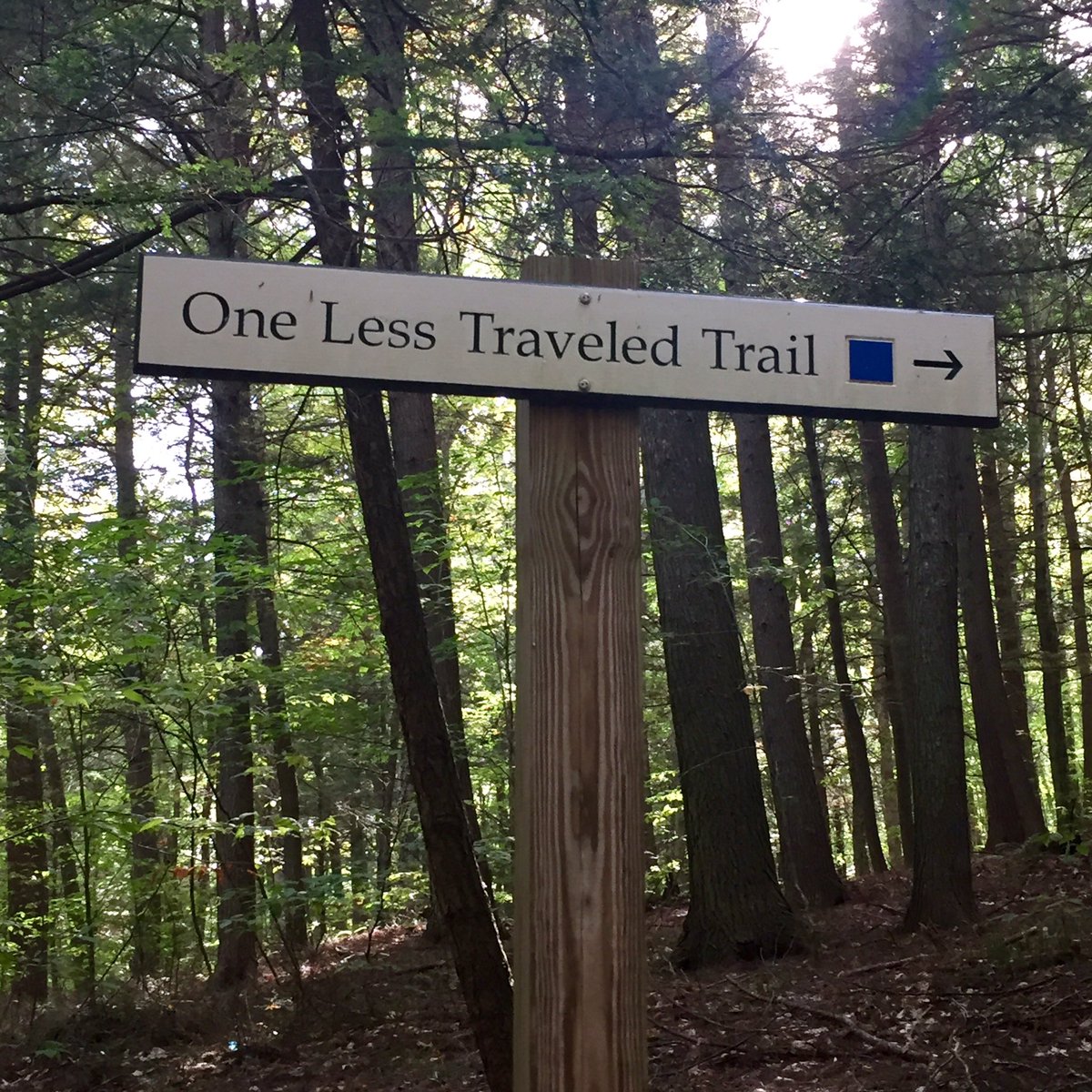 monahoule's tweet photo. Go ahead...take it!   #followyourdreams #newbeginnings #dowhatyoulove #naturelovers https://t.co/CfuzelXyYY
