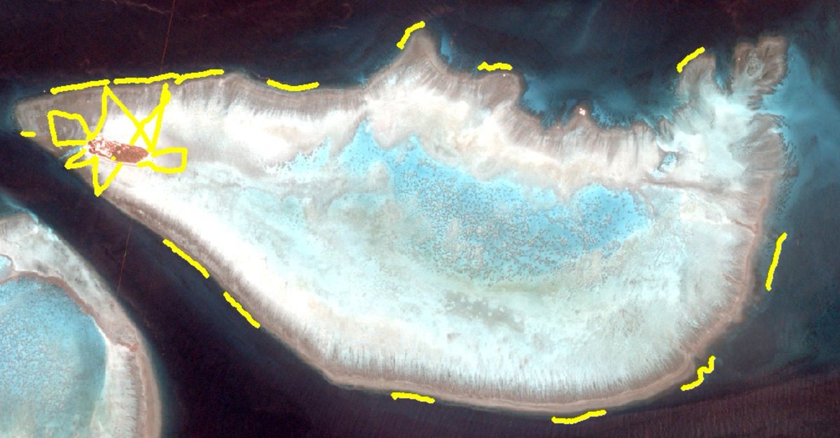 ChrisRoelfsema's tweet photo. Cool science 4 days Heron: 6000 photo 23 transets16km, 13 @Coral_Watch 9 @ReefCheckAus #drone @KEJoyce2 #waves #3d @JXavierLeon @RSRC_UQ https://t.co/ML6dQf1LLa