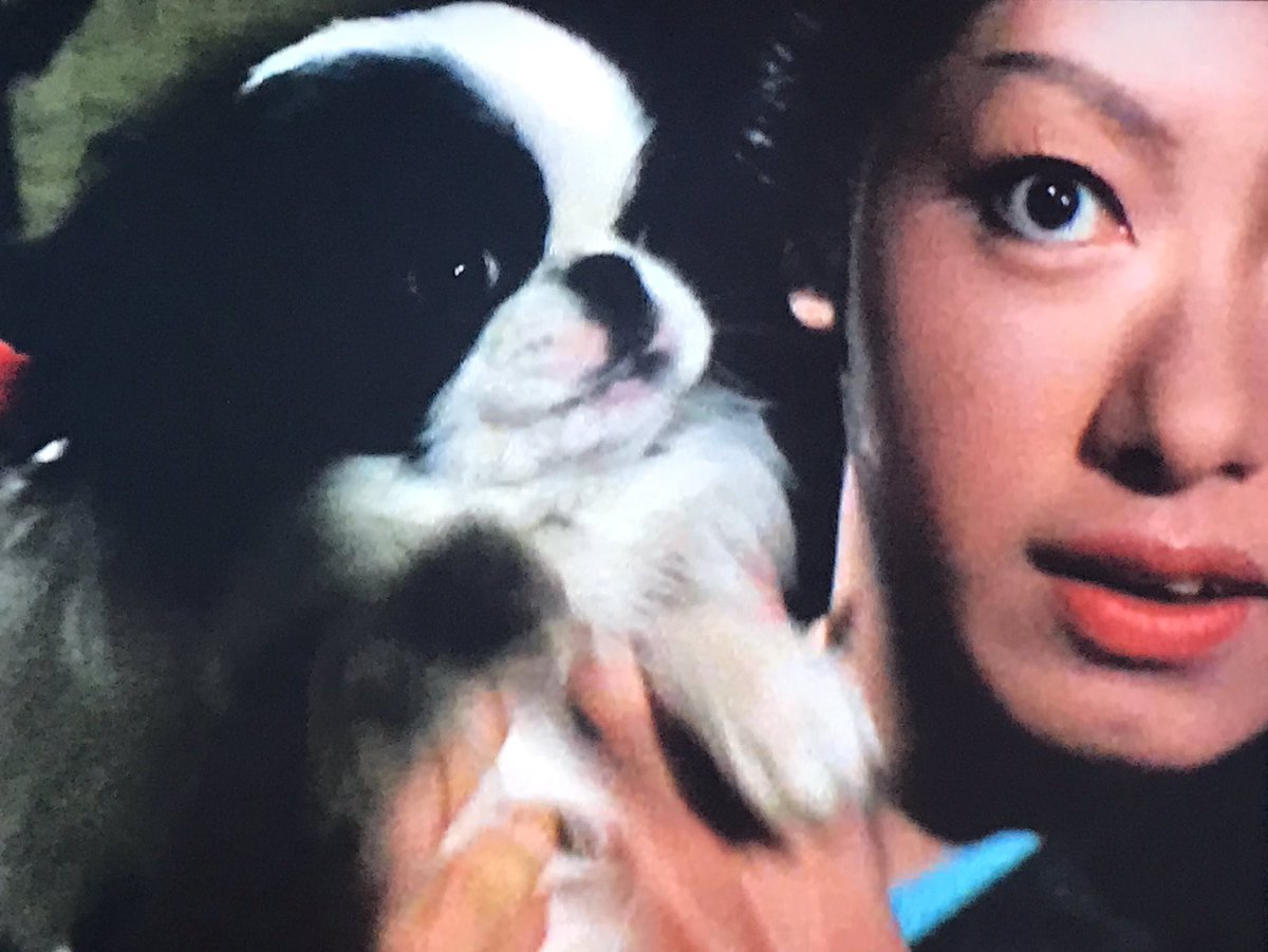 ひろし カーミット A Twitter ゴリムリンといいつつ邪悪な小鬼では無く ルービックキューブ In 江戸でしたね 戸浦さんの善玉は 他には 商売人 うらごろし でしょうか