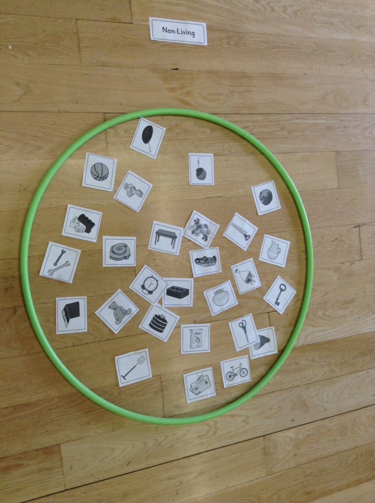 PFPSMissBirchal's tweet photo. What a fantastic science lesson year two have had today! We felt like we were doing PE! @PFPSMrsW #deadoralive #living,dead,neverliving https://t.co/OPxKkc662D