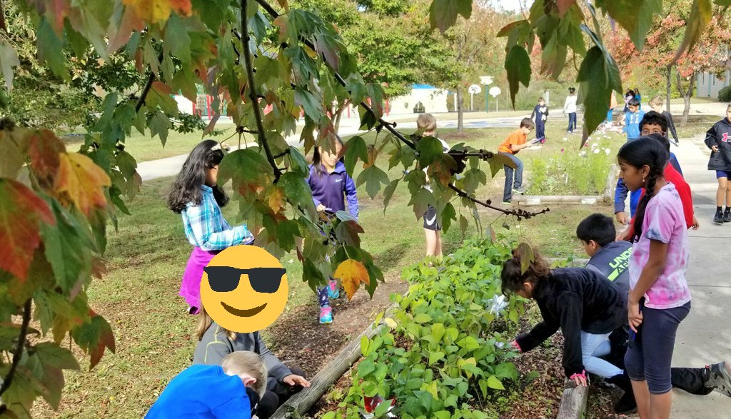 KyleHamstra's tweet photo. What's eating #ddegardens? Fourth gr investigates interdependent relationships in ecosystems. #ddestem #sci4L11 #sci4L12 #sci4L13 #sci5L23 https://t.co/yIQ4sEj11B