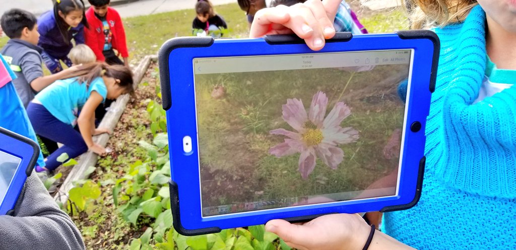 KyleHamstra's tweet photo. What's eating #ddegardens? Fourth gr investigates interdependent relationships in ecosystems. #ddestem #sci4L11 #sci4L12 #sci4L13 #sci5L23 https://t.co/yIQ4sEj11B