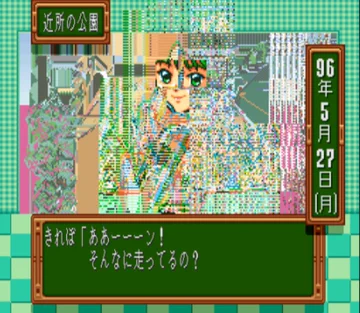 画像 / Picture